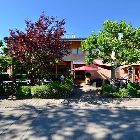 Hotel Hoellsteiner Hof シュタイネン エクステリア 写真